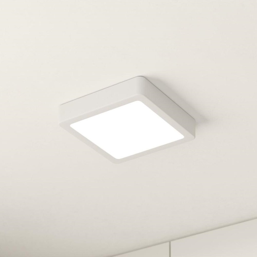 Eglo - LED Plafonjera LED/10,5W/230V