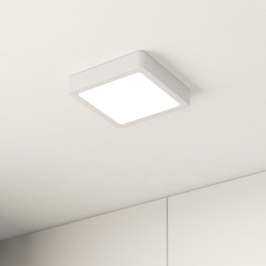 Eglo - LED Plafonjera LED/10,5W/230V