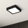 Eglo - LED Plafonjera LED/10,5W/230V