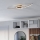 Eglo - LED Plafonjera LED/12W/230V 4000K bakrena