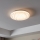 Eglo - LED Plafonjera LED/14,6W/230V