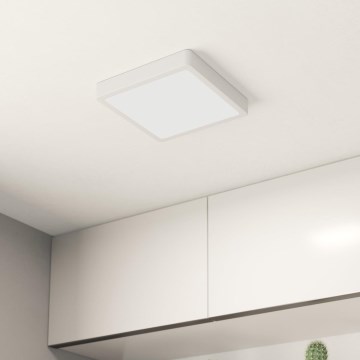 Eglo - LED Plafonjera LED/16,5W/230V