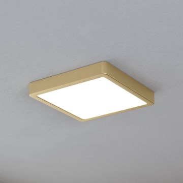 Eglo - LED Plafonjera LED/17W/230V