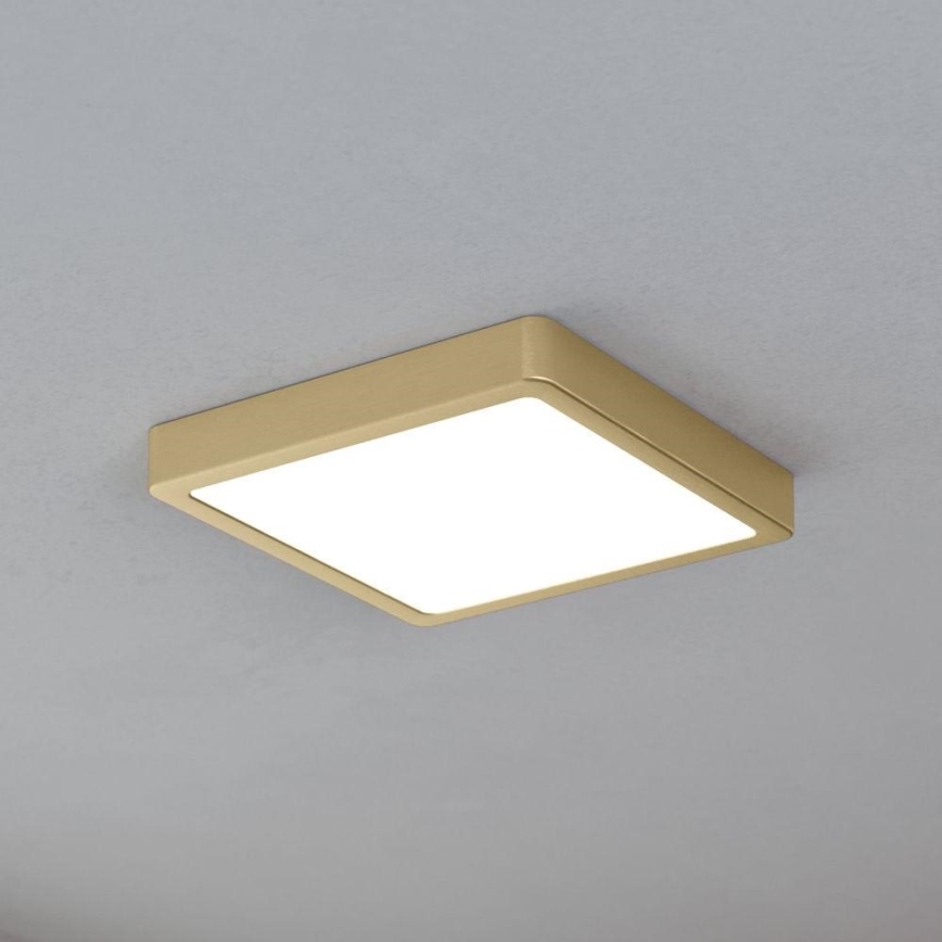 Eglo - LED Plafonjera LED/17W/230V