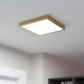 Eglo - LED Plafonjera LED/20,5W/230V