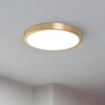 Eglo - LED Plafonjera LED/20,5W/230V pr. 28,5 cm