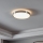 Eglo - LED plafonjera LED/24W/230V