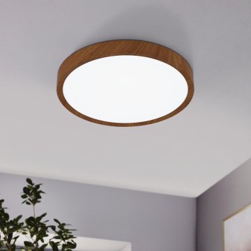 Eglo - LED Plafonjera LED/33,5W/230V