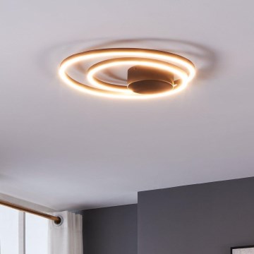 Eglo - LED Plafonjera LED/36W/230V