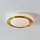 Eglo - LED Plafonjera za kupatilo LED/10,8W/230V IP44