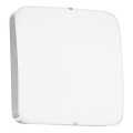 Eglo - LED plafonsko svetilo LED/11W/230V