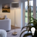 Eglo - LED  Podna lampa TUNJA 1xE27/60W/230V mat krom/braon