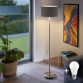Eglo - LED  Podna lampa TUNJA 1xE27/60W/230V mat krom/taupe