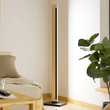Eglo - LED Prigušiva dodirna stojeća lampa CAMACHO LED/22W/230V