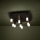 Eglo - LED Prigušiva plafonjera 9xLED/3,1W/230V 3000K antracit/zlatna