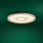 Eglo - LED Prigušiva plafonjera LED/36W/230V 4000K bež