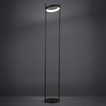 Eglo - LED Prigušiva podna lampa LED/20W/230V 3000K crno