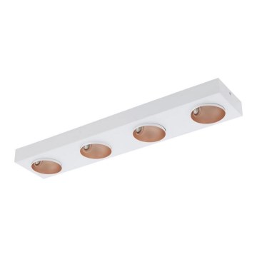 Eglo - LED prigušiva stropna svetiljka 4xLED/3,3W/230V