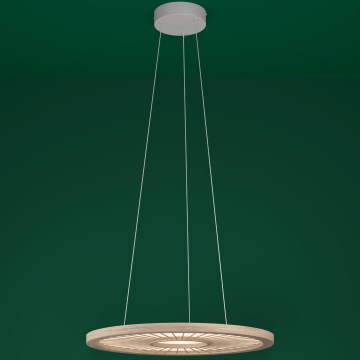 Eglo - LED Prigušivi luster na sajli LED/36W/230V 4000K bež