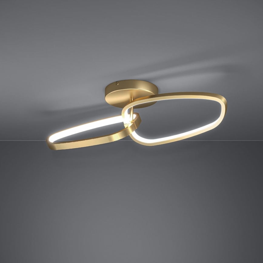 Eglo - LED Prigušivi nadgradni luster LED/25W/230V 3000K zlatna