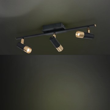 Eglo - LED reflektorska lampa 3xLED/5W/230V/12V