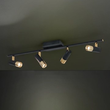 Eglo - LED reflektorska lampa 4xLED/5W/230V/12V