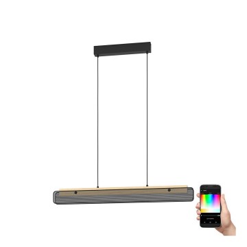 Eglo - LED RGBW luster na sajli, prigušiva, LED/34W/230V 2700-6500K