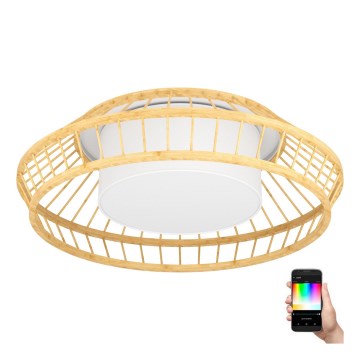 Eglo - LED RGBW Prigušiva plafonjera LED/22W/230V 2700-6500K