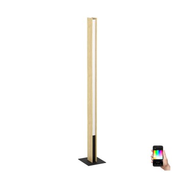 Eglo - LED RGBW Prigušiva podna lampa LED/35W/230V 2700-6500K