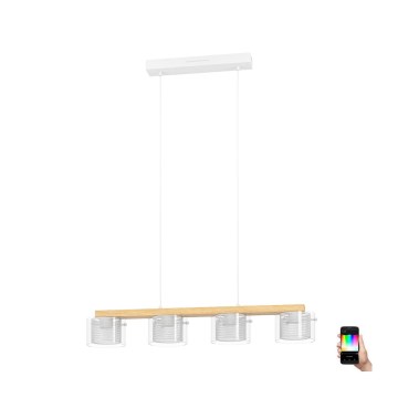 Eglo - LED RGBW Prigušivi luster na sajli 4xLED/3,7W/230V 2700-6500K