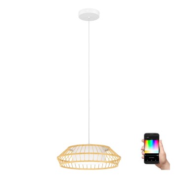 Eglo - LED RGBW Prigušivi luster na sajli LED/22W/230V 2700-6500K