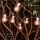 Eglo - LED spoljašnja dekorativna girlanda 16xLED/0,064W/24V IP44 bela