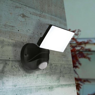 Eglo - LED Spoljašnja lampa sa senzorom LED/15W/230V IP44