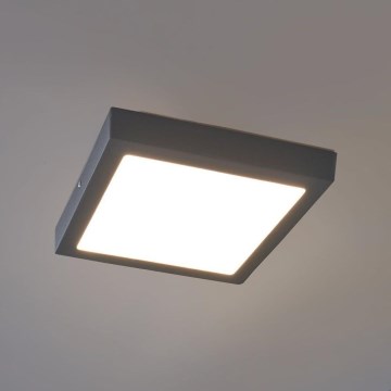 Eglo - LED Spoljašnja plafonjera LED/22W IP44