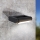Eglo - LED Spoljna zidna lampa LED/4,8W/230V IP44