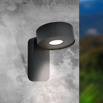 Eglo - LED Spoljna zidna lampa LED/6W/230V IP44