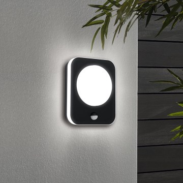Eglo - LED spoljna zidna svetiljka sa senzorom LED/9W/230V IP44