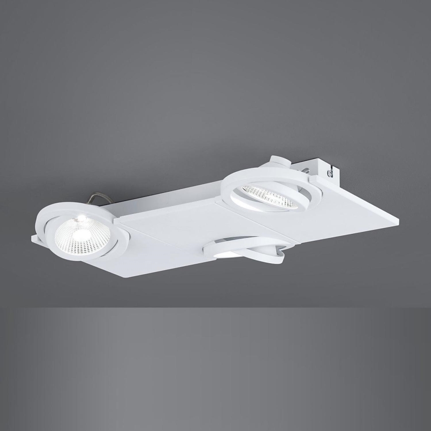 Eglo - LED spot svetiljka 3xLED/5W/230V/12V