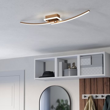 Eglo - LED stropna svetiljka LED/12W/230V 4000K bakrena