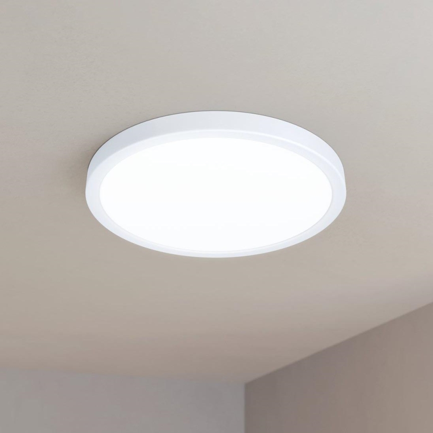 Eglo - LED stropna svetiljka LED/20W/230V Ø 28,5 cm