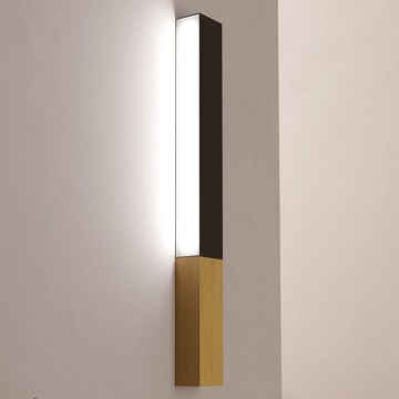 Eglo - LED Zidna lampa LED/12W/230V