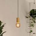 Eglo - Luster na sajli 1xE27/40W/230V braon