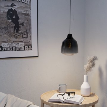Eglo - Luster na sajli 1xE27/40W/230V
