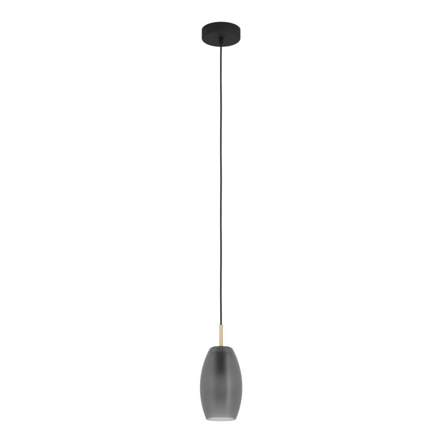 Eglo - Luster na sajli 1xE27/40W/230V