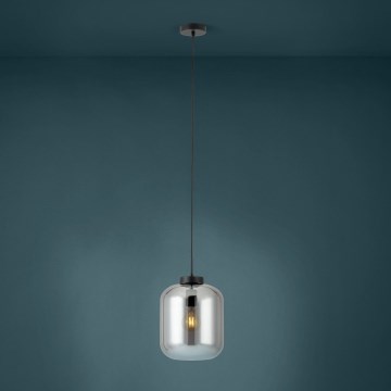 Eglo - Luster na sajli 1xE27/40W/230V pr. 25 cm sivo