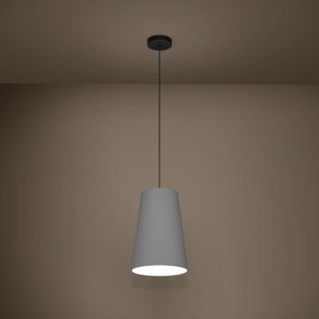 Eglo - Luster na sajli 1xE27/40W/230V sivo