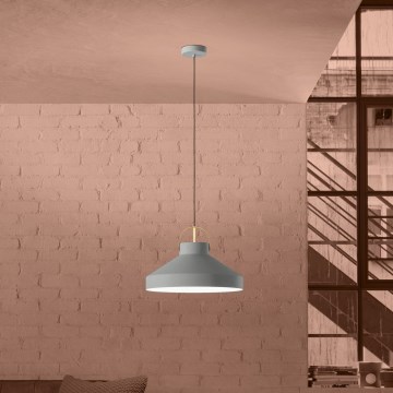 Eglo - Luster na sajli 1xE27/40W/230V sivo