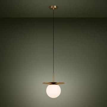 Eglo - Luster na sajli 1xE27/40W/230V zlatna