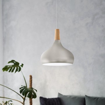 Eglo - Luster na sajli 1xE27/60W/230V pr. 28 cm srebrno - FSC sertifikovano