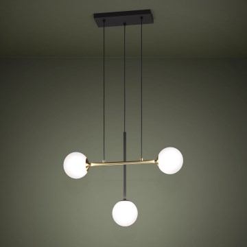 Eglo - Luster na sajli 3xE14/40W/230V zlatna/crno
